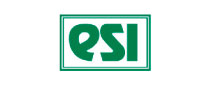 ESI Technology